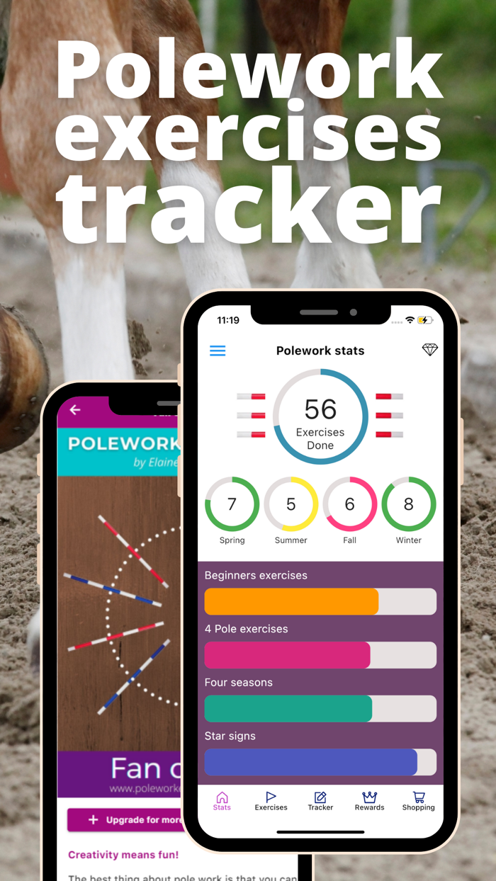 Polework Horse Riding Training