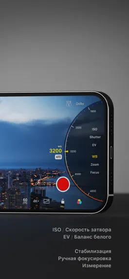 Game screenshot Varlens - DSLR в телефоне apk