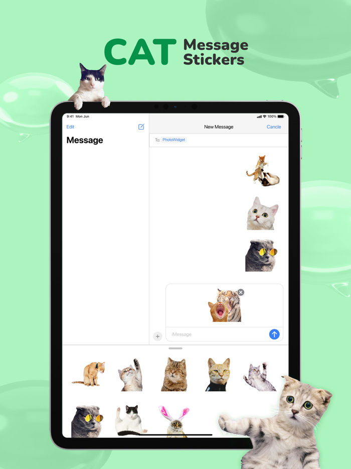 Message Stickers cat emoticon