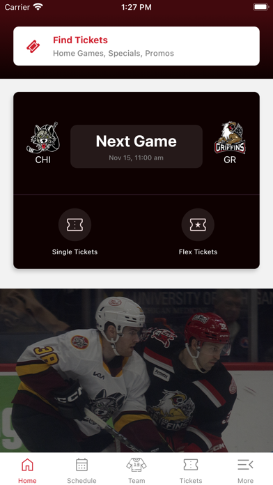 Grand Rapids Griffins Screenshot