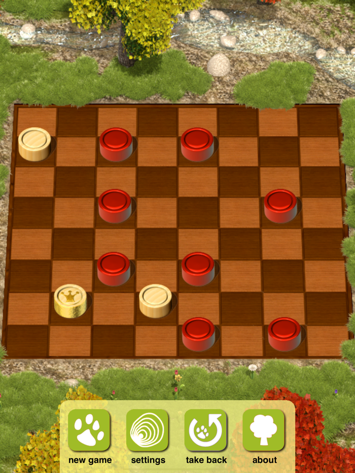 Checkers Master