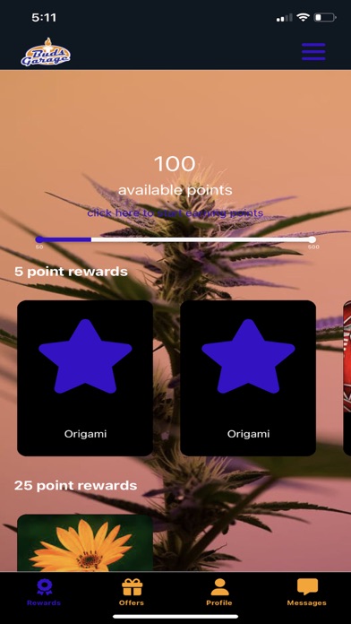 Buds Garage Screenshot