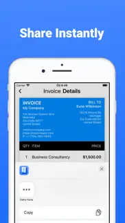 pixe: simple invoice maker pro iphone screenshot 4