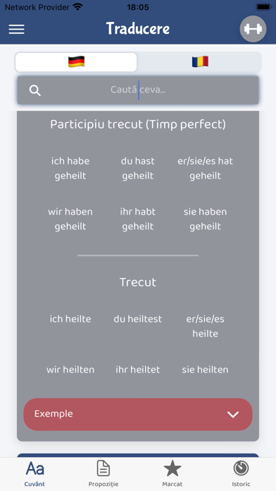 Dicţionar German Român Screenshot