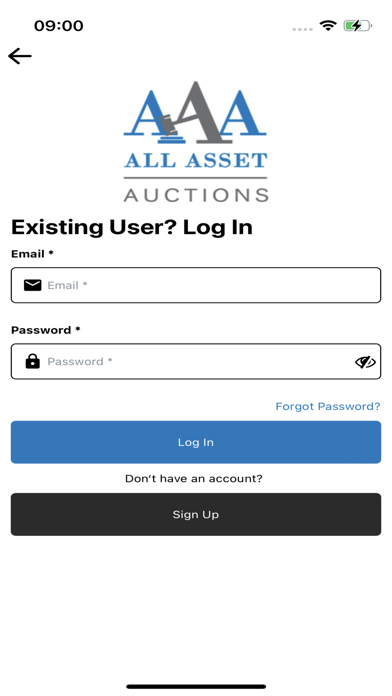 All Asset Auction Screenshot