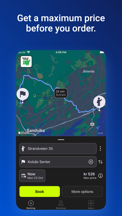 taxilink - Norway Screenshot