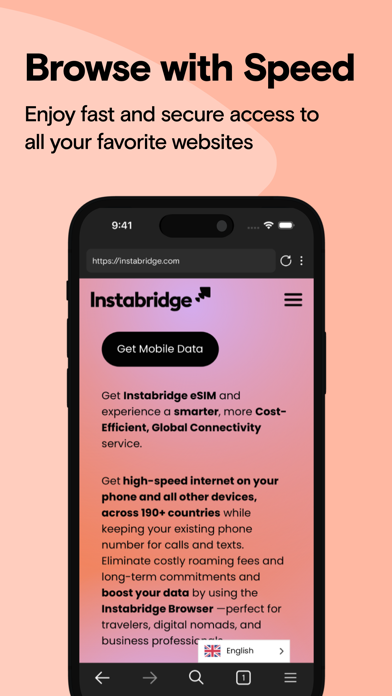 Instabridge Web Browser Screenshot