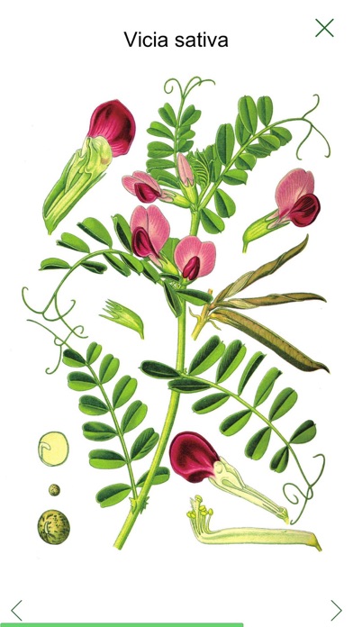 植物アトラスのおすすめ画像1