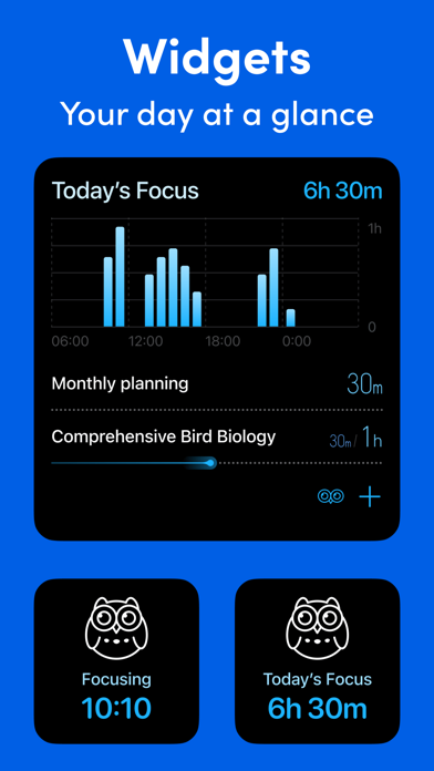 Bluebird Focus Timer Screenshot