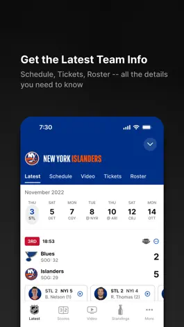 Game screenshot NHL hack