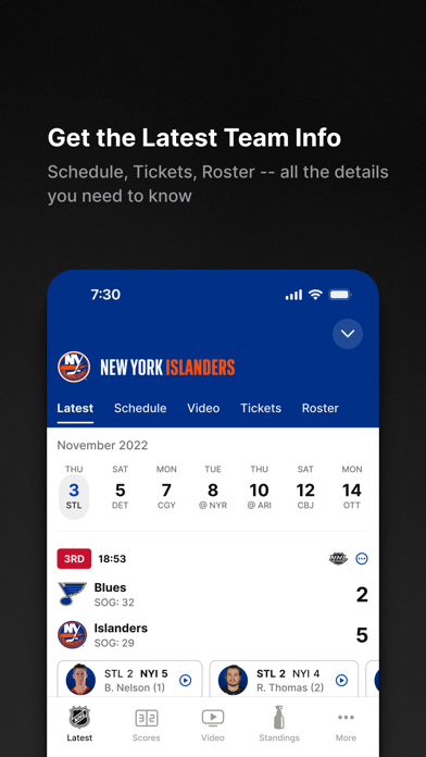 NHL Screenshot