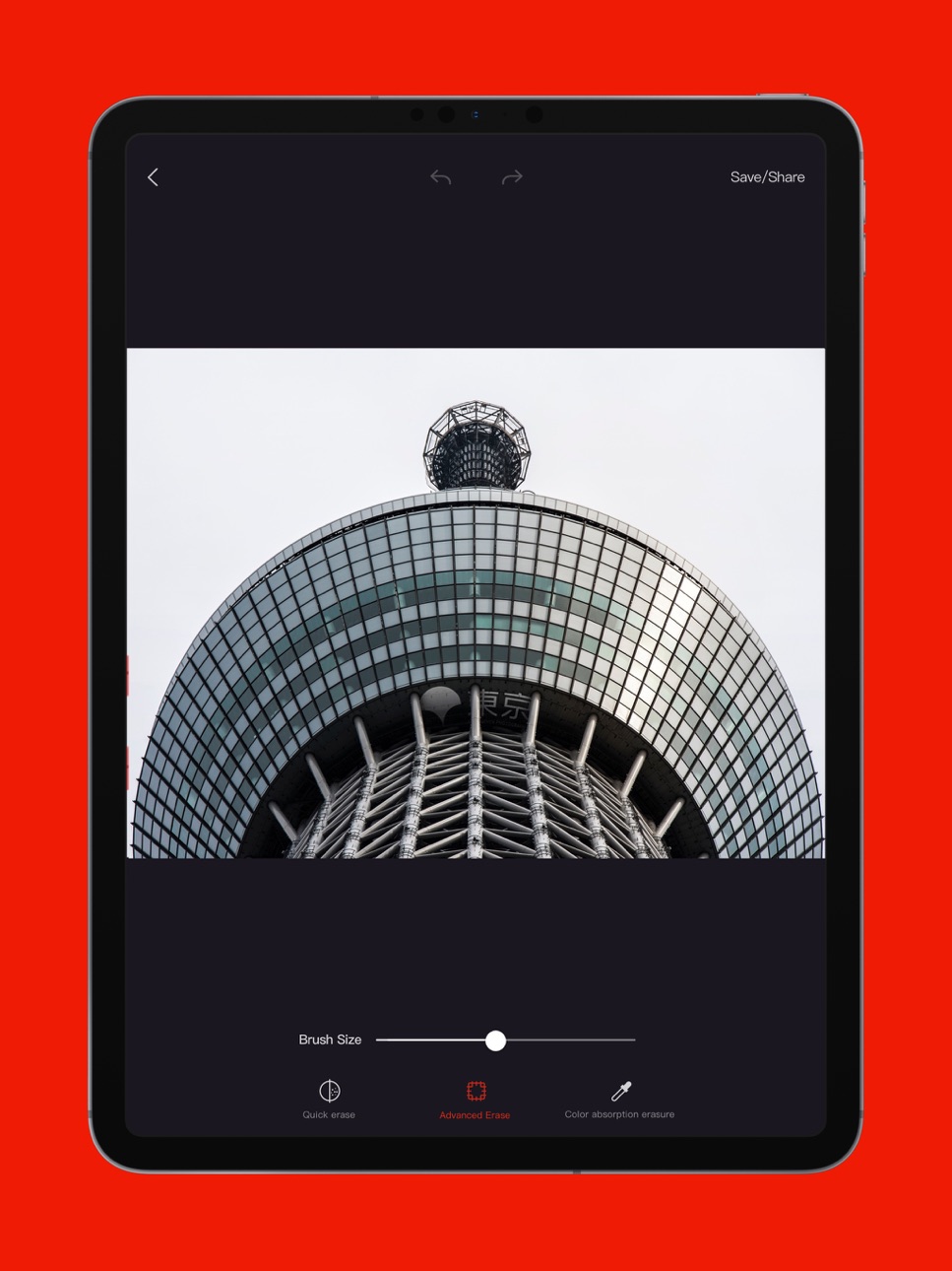 iPad screenshot