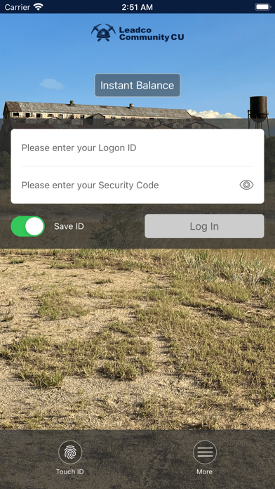 Leadco Community Credit Union Screenshot