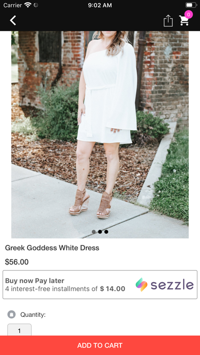 Pink Willow Boutique Screenshot