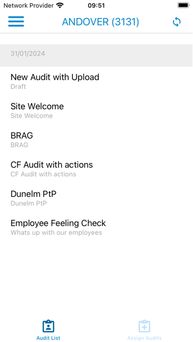 Site Audits Screenshot