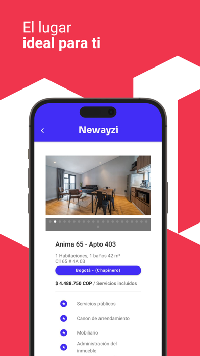 Newayzi Screenshot