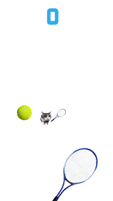 Cat Tennis - Meme Game Screenshot