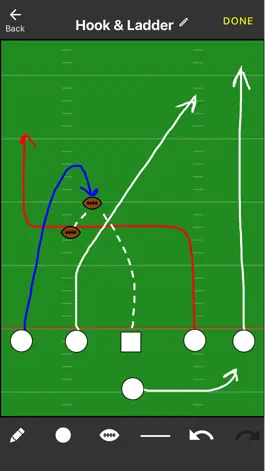 Game screenshot Flag Football Play Caller apk