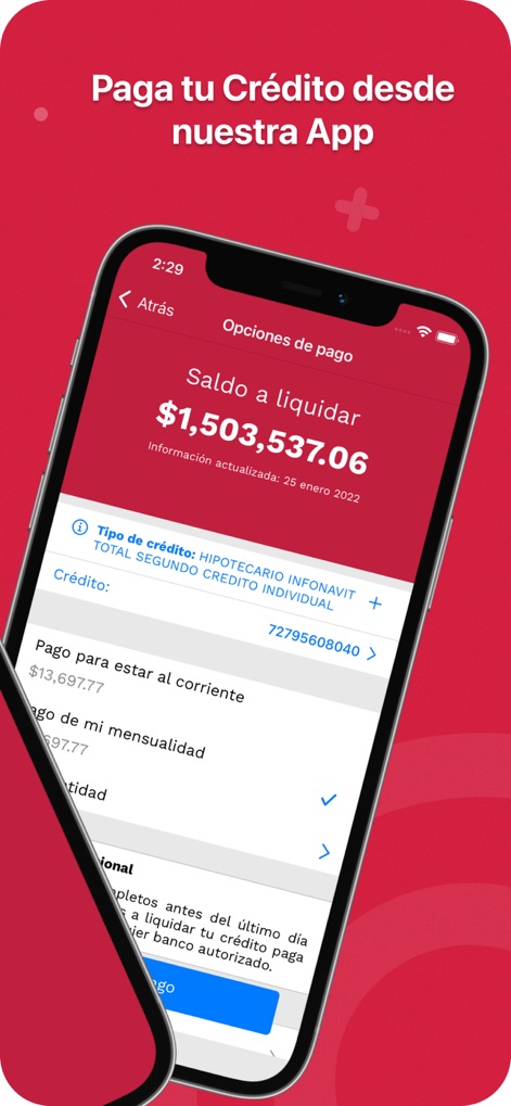 Mi Cuenta Infonavit Móvil - Observe the prominent balance display and the detailed credit type information, facilitating easy credit management and payments.