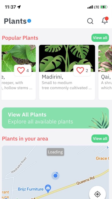 Healing Plants of Fiji Screenshot