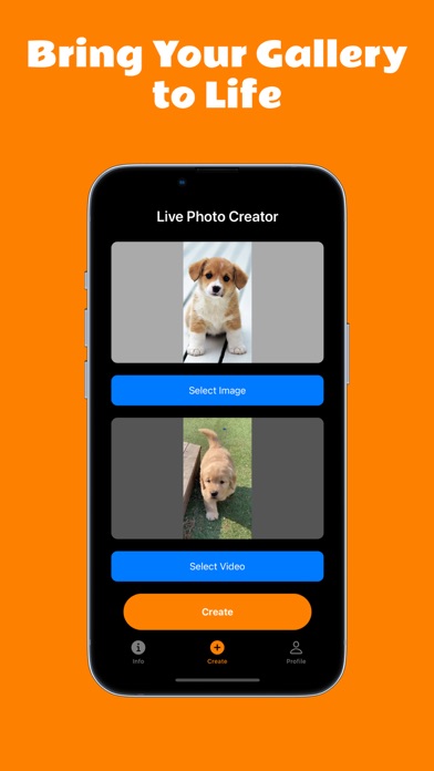 Live Photo Wallpaper Generator Screenshot