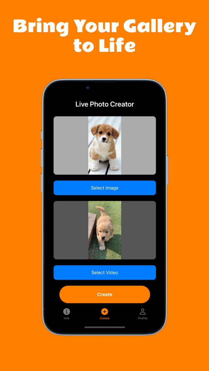 Live Photo Wallpaper Generator