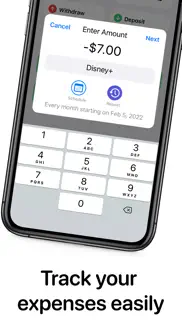 openbudget - budget and save iphone screenshot 2