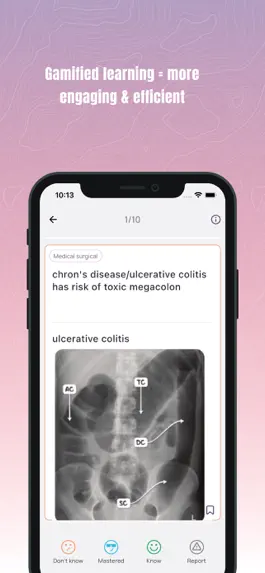 Game screenshot NCLEX100 hack