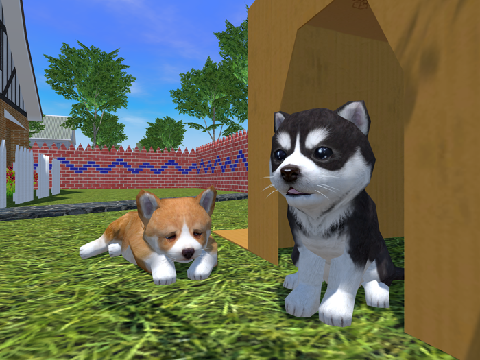 Cute Pocket Puppy 3D - Part 2