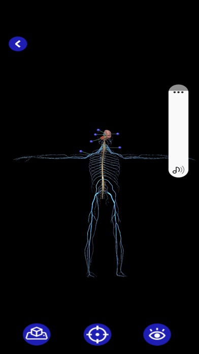 Flow - Biologia Screenshot