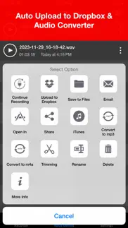 voice recorder - audio record not working image-4