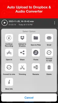 Voice Recorder - Audio Record iphone bilder 3