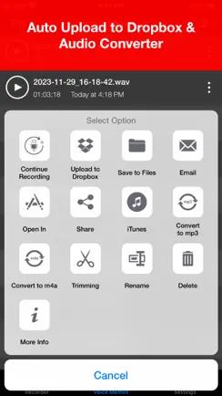 Voice Recorder - Audio Record iPhone image 4