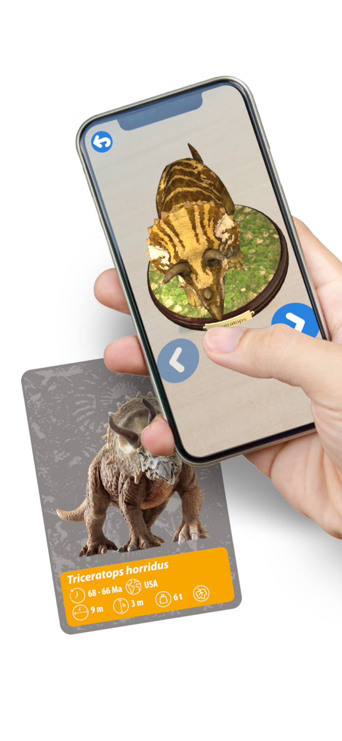 History of Life on Earth