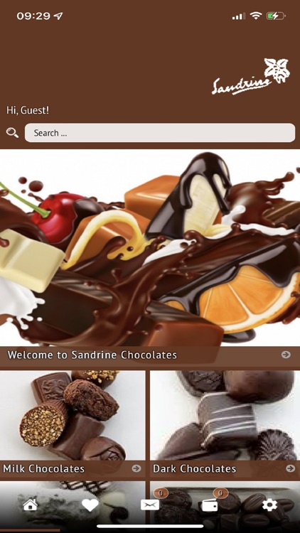 Sandrine Chocolates,East Sheen