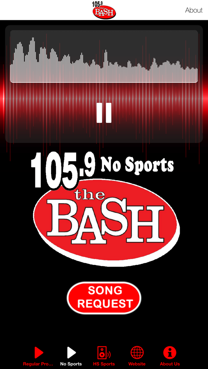 105.9 The Bash