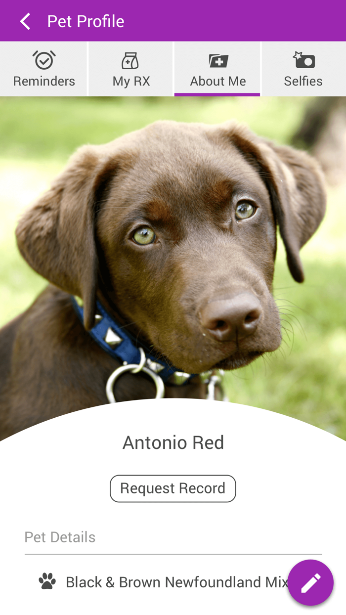 East York Veterinary Center