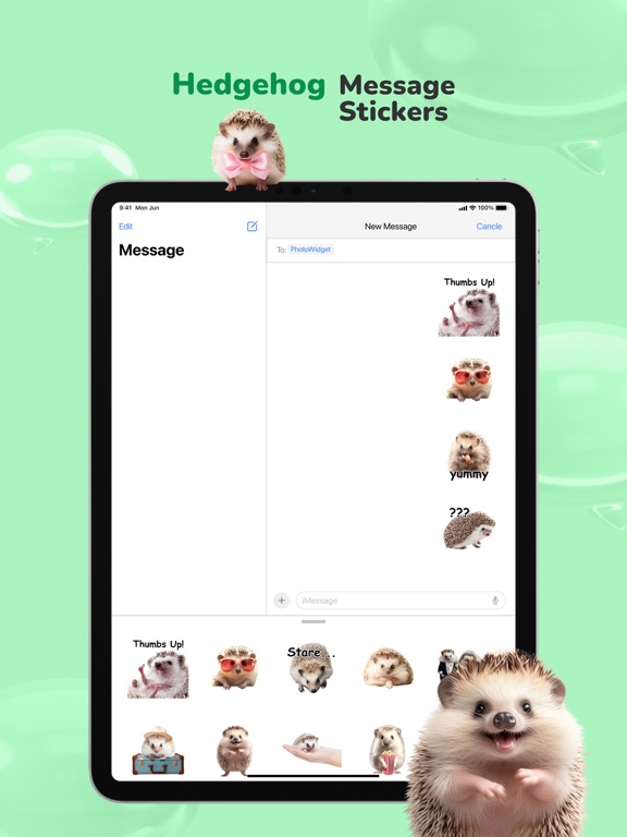 Message stickers : hedgehog