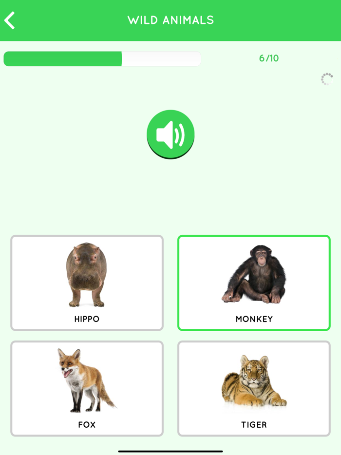 Learn English US for Beginners