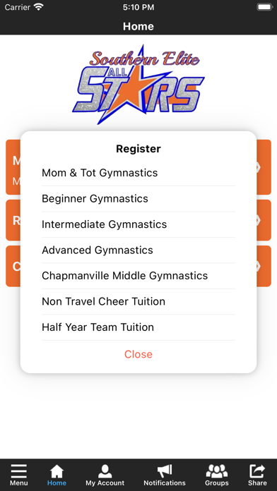Southern Elite All Stars Screenshot