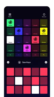 loop pads: dj music beat maker iphone screenshot 3