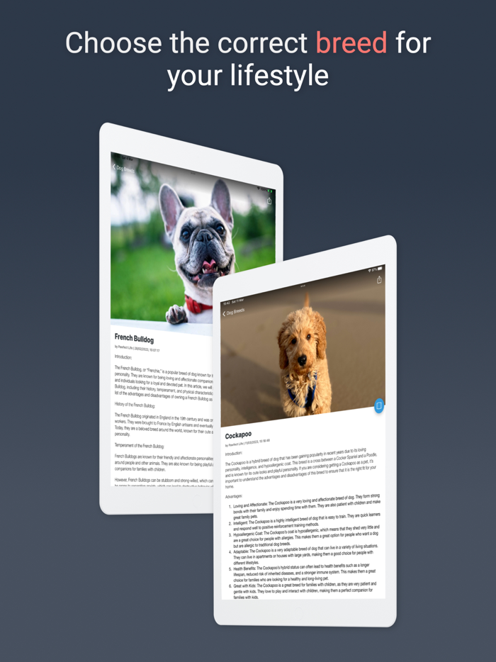 Pawfect Life - Puppy Training