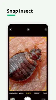 bug identifier - punaise iphone screenshot 2