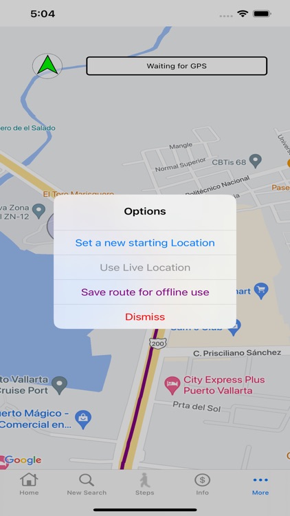 BusVallarta screenshot-3