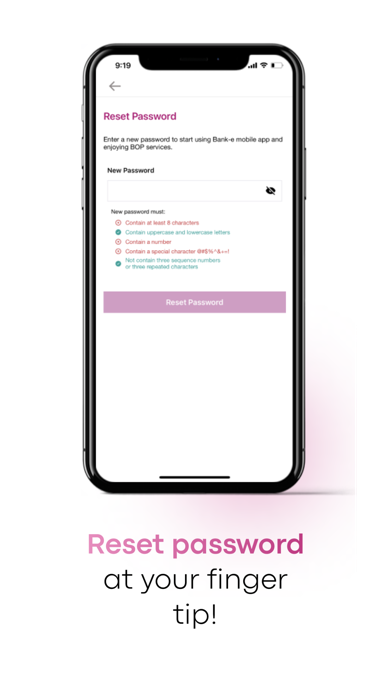 Bank of Palestine Screenshot