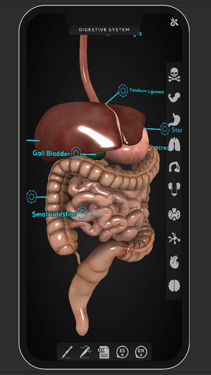 Virtual Medical Anatomy screenshot-3