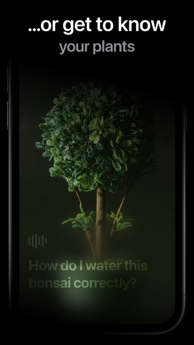 PowerApp: Radio, Podcast, DJ