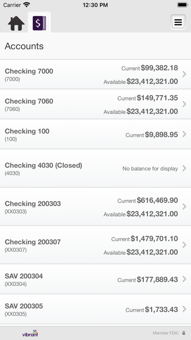Vibrant Business Screenshot