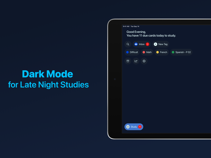 Memory Tags Study Flashcards