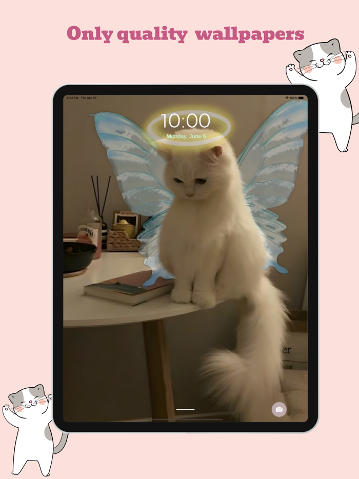 Meow Wallpapers